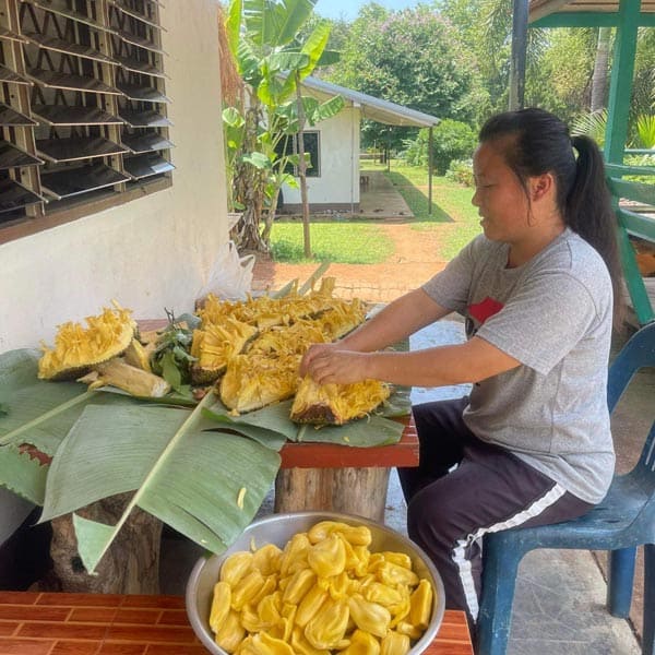 Jackfruit